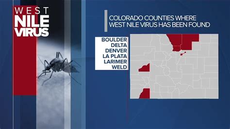 West Nile Virus found in multiple Bay Area counties